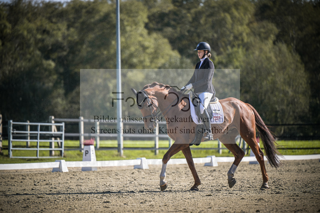 DOS_3195 | Entdecke hochwertige Reitturnierfotos von Foto Oger. Professionell, emotional und authentisch – jetzt Lieblingsmomente im Shop bestellen.Deutschlandweite Turnierfotografie. - Realisiert mit Pictrs.com
