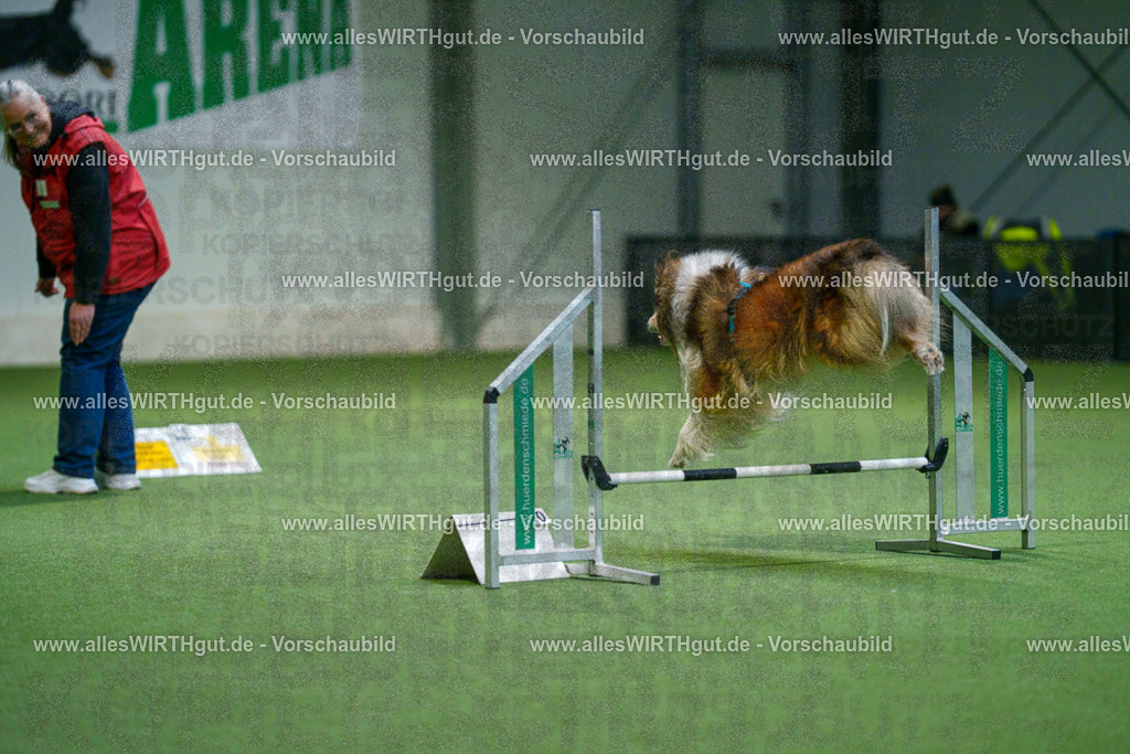 7R500464 | Professionelle Tierfotografie in Mönchengladbach von Daniel Wirth (allesWIRTHgut). Liebevolle & natürliche Bilder von Hunden & Katzen für unvergessliche Erinnerungen.