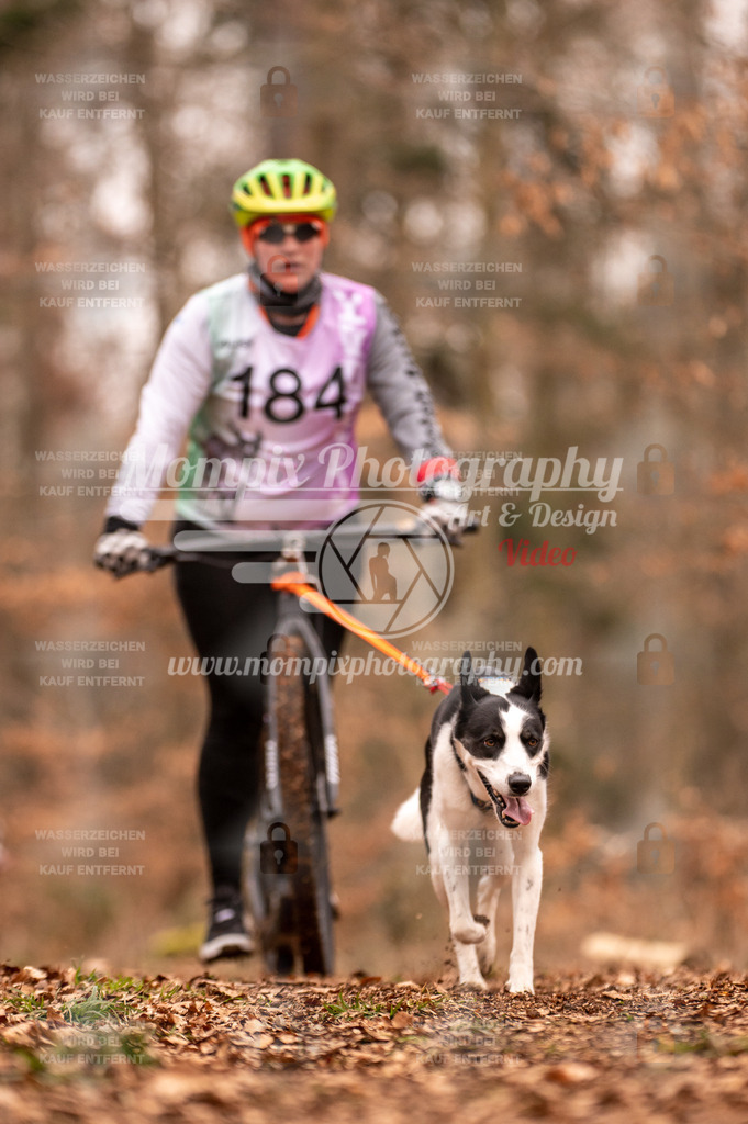 AKM_ST_2023_SAM_Scooter-71 | PayLife
