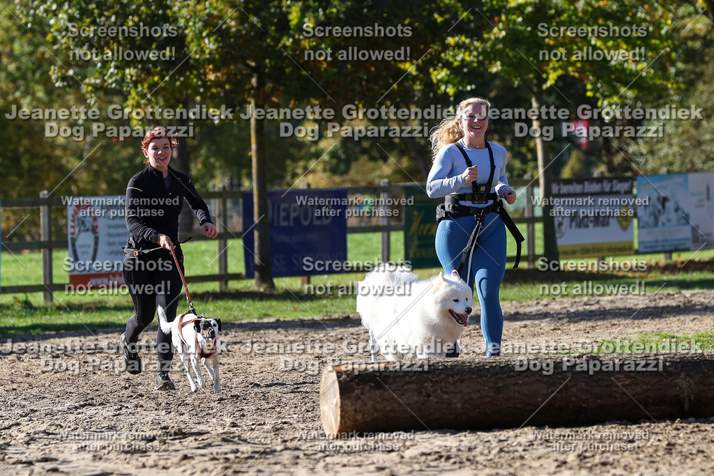 Dog Paparazzi - Strongdog 10-25-2955 | Dog Paparazzi Jeanette Grottendiek Fotografie & Videografie - Realisiert mit Pictrs.com