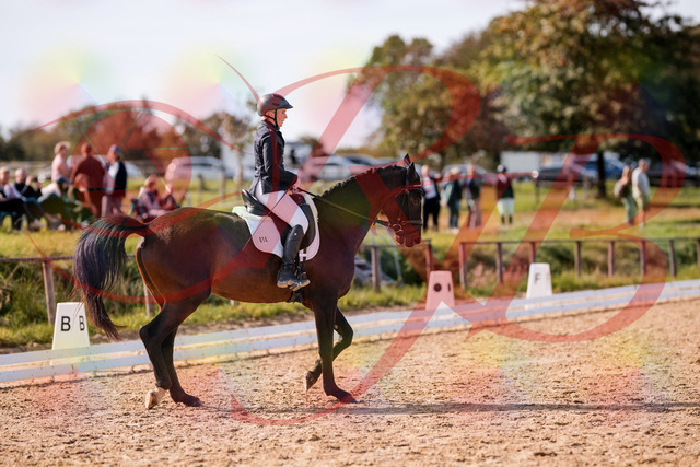 2026_10_03_Siefer-Hof_133824_Z81_95951736 | Professionelle Reitsport-, Turnier- und Eventfotografie von Robert Broda. Galerien mit ausgewählten und bearbeiteten Bildern direkt online ansehen und bestellen.