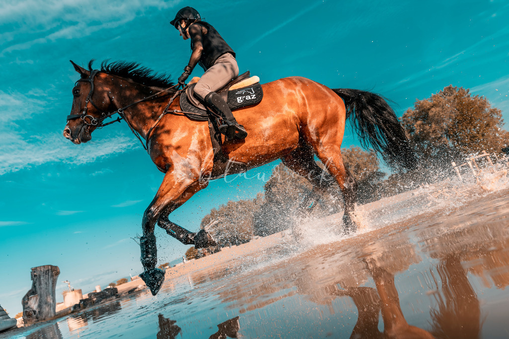 AvenchesJK-7593 | Sportbilder, Sportfotograf, Hochzeits- und Eventfotografin, Flugshows, Portraits und Tiershooting, Aviation, Downhill, Nationalleague, Swissleague, International