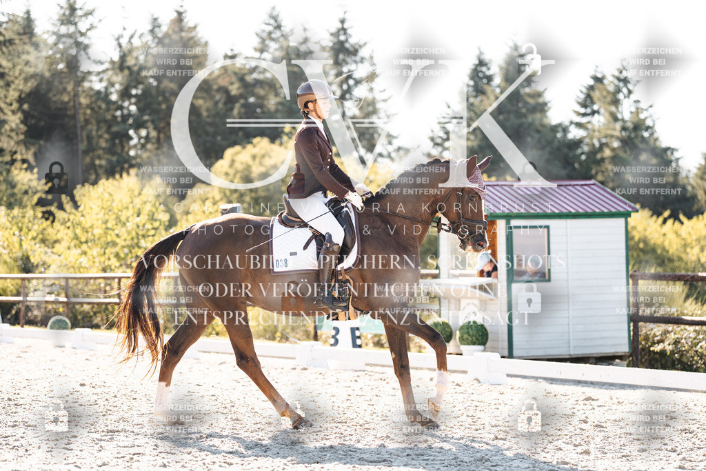 CK906604 | Turnierfotografie Pferdefotografie Trier Rheinland-Pfalz Pferdesport Reitsport Tierfotografie Sportfotografie Pferdevideo Pferdevideografie Equestrianvideography equestrianphotography  - Realisiert mit Pictrs.com