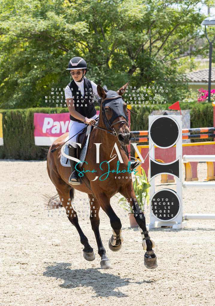 IMG_7516 | s-jay-photography - Realisiert mit Pictrs.com