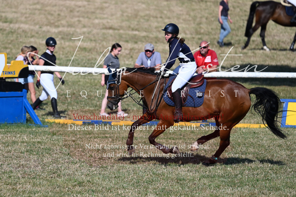 DSC_2441 | Pferde- und Turnierfotografie in Westsachsen. Pferdeportraits, Auftragszeichnungen und intuitive Kunst.