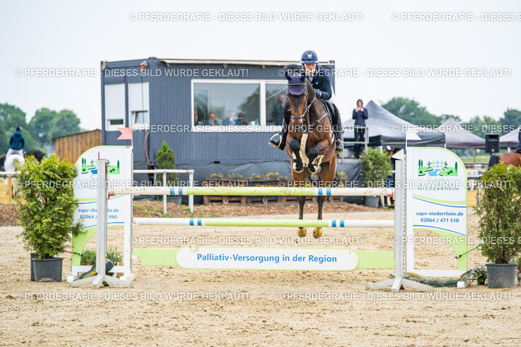 DSC09256 | Pferdegrafie