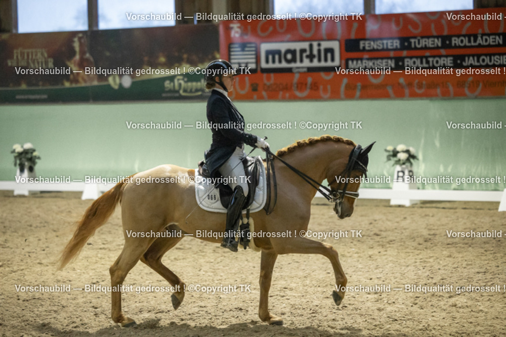 _D5A7239 | Emotionale Pferde- & People-Fotografie rund um Heidelberg, Leimen & Umgebung. Natürliche Fotos von Pferd, Mensch & Familie. Jetzt Termin sichern!