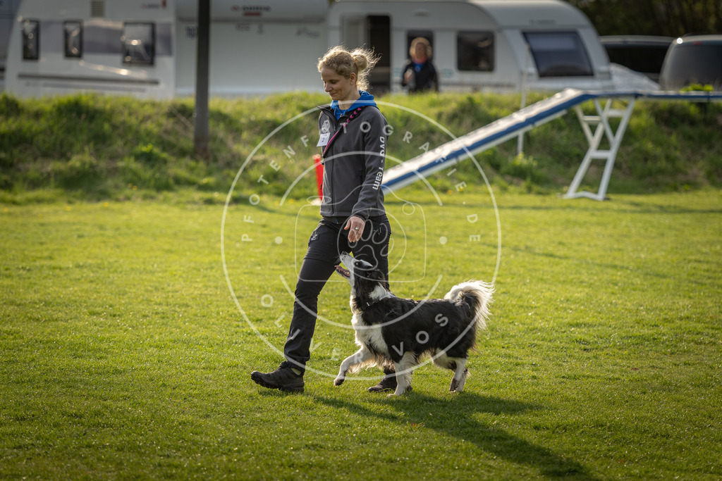 Pfotenfotografie_DV3A4750 | Hundefotografie, Tierfotograf, Pfotenfotografie, Fotoshooting Hund, Hunde Portrait, Hundesport, Hundeportraits, Heideshooting, Hunde, Sportfotograf, Hundefotograf, Turnierhundsport, THS,  - Realisiert mit Pictrs.com