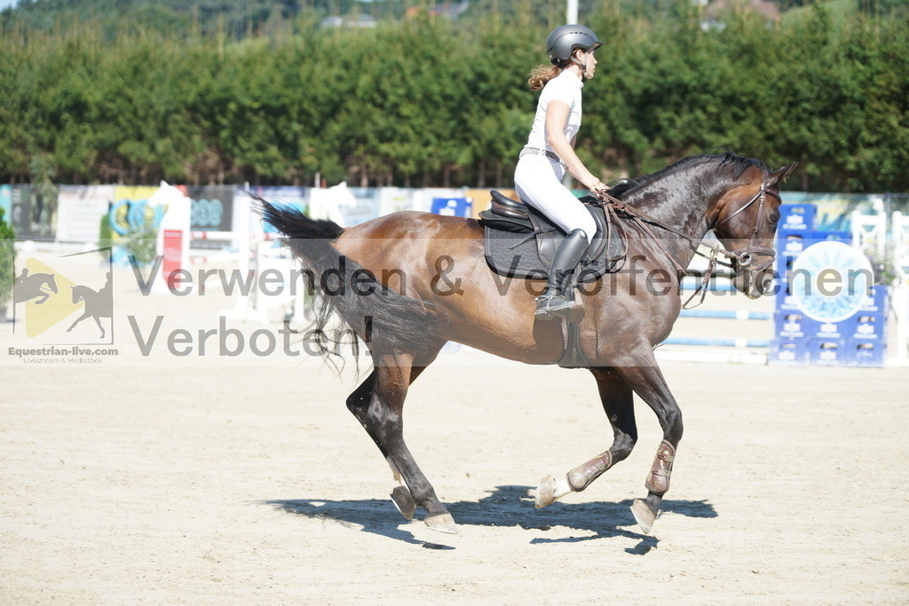 DSC00869 | equestrian-live-com