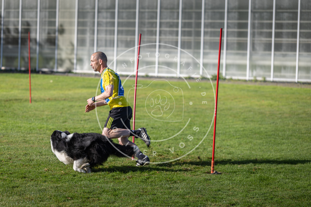 Pfotenfotografie.de_DV3A3467 | Hundefotografie, Tierfotograf, Pfotenfotografie, Fotoshooting Hund, Hunde Portrait, Hundesport, Hundeportraits, Heideshooting, Hunde, Sportfotograf, Hundefotograf, Turnierhundsport, THS, canicross - Realisiert mit Pictrs.com