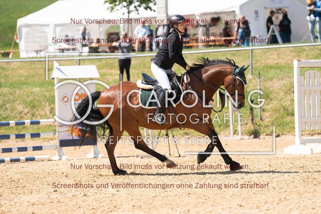 DSC04341 | Springturnier_Ehingen_Mai_2026, Selin_Fischer, For_Fun_32