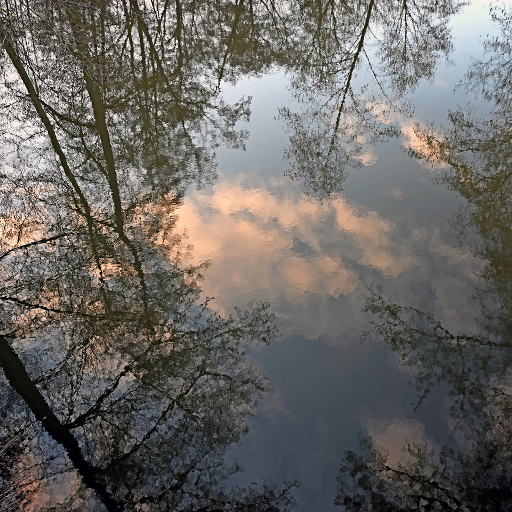 Reflexion01q | lucisnaturbilder - Realisiert mit Pictrs.com