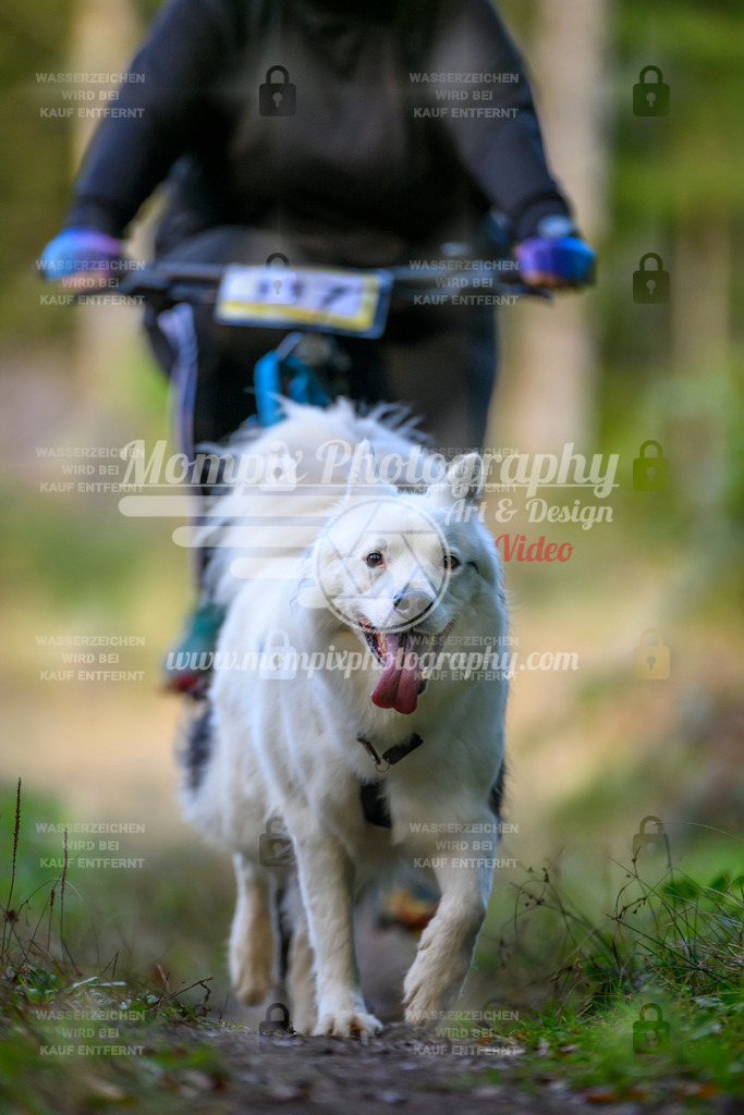 MompixPhotography_Yens2025_B3-44 | PayLife