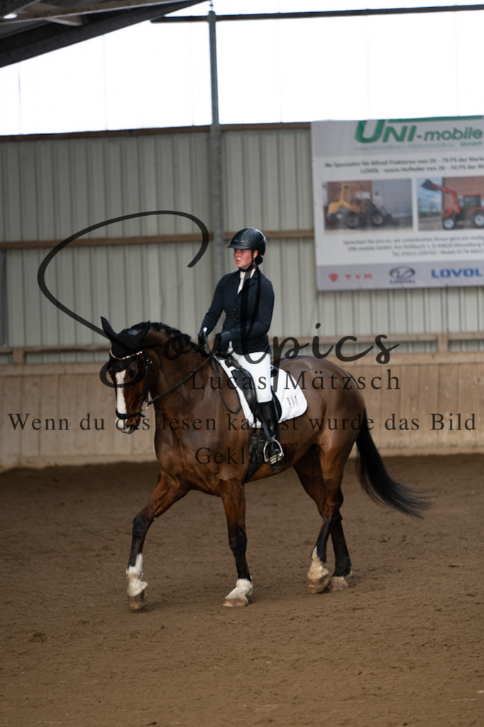 A7V05326 | Pferdefotograf