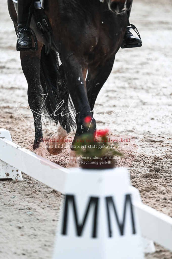 DSC_4352 | Pferde- und Turnierfotografie in Westsachsen. Pferdeportraits, Auftragszeichnungen und intuitive Kunst.