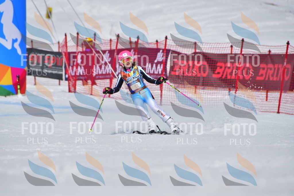 _DSC6768 | holidayphoto