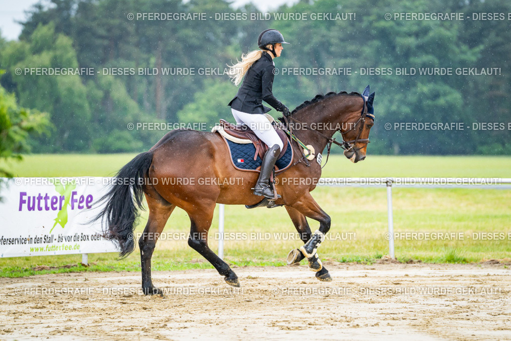 DSC02533 | Pferdegrafie