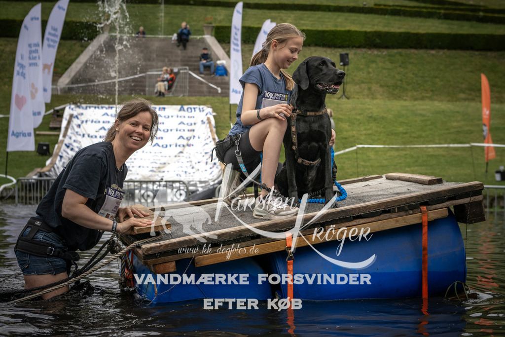 1103_ZZ96098 | kk-dogfotos