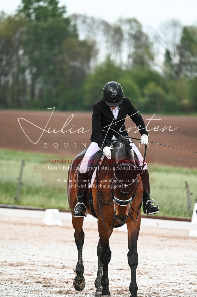 DSC_4221 | Pferde- und Turnierfotografie in Westsachsen. Pferdeportraits, Auftragszeichnungen und intuitive Kunst.