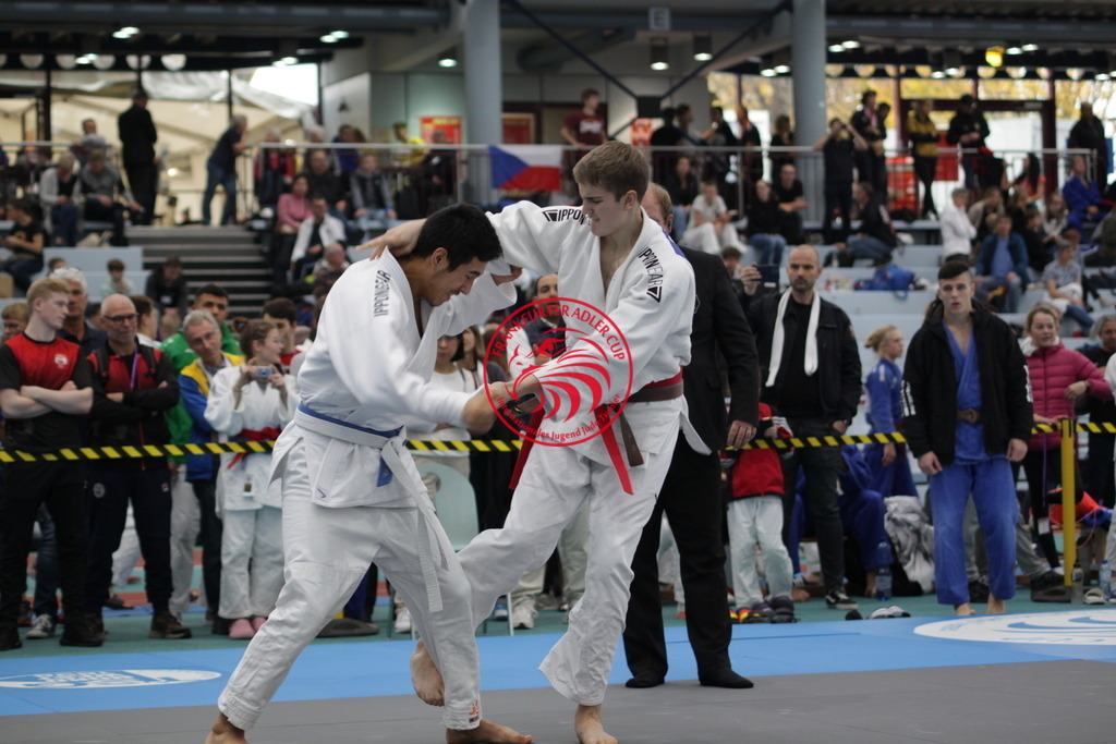 IMG_3756 | Fotos vom Adler Cup - Pictures from Adler Cup

Hier findet Ihr alle Eindrücke und großen Momente der Adler Cup Wochenenden. Here you will find all impressions and great moments of the Adler Cup weekends. - Realisiert mit Pictrs.com