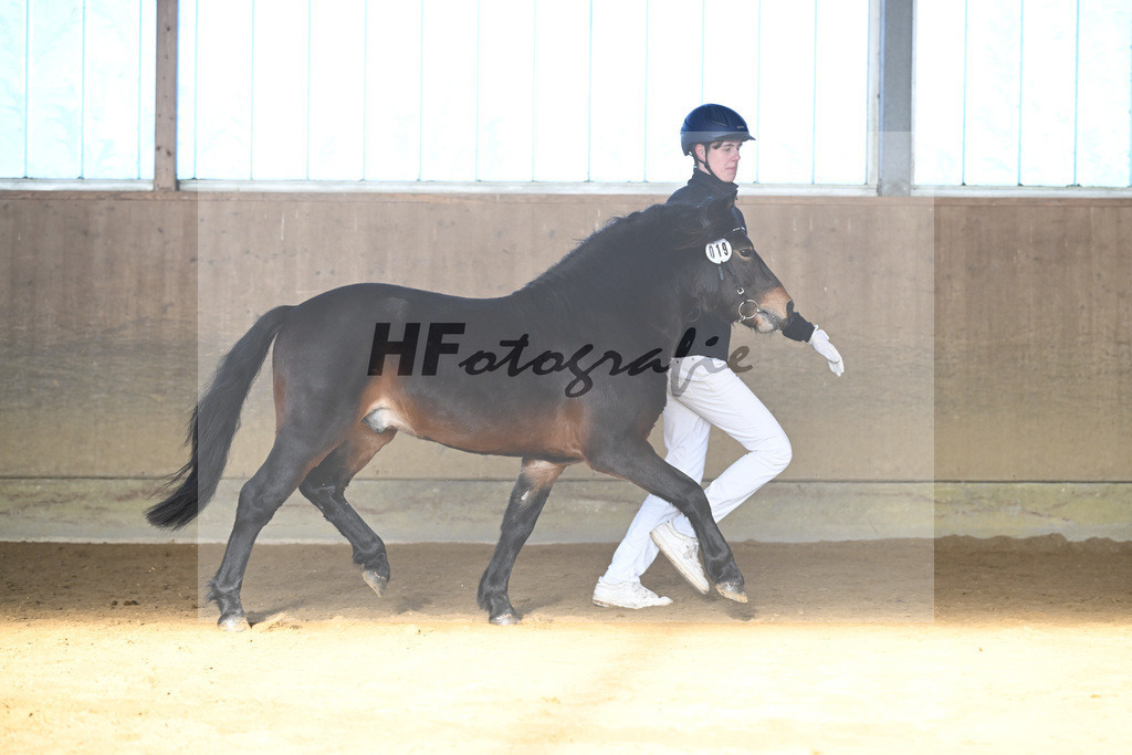 Kat-Nr. 19 Hells Hadrian v. Hells Bells_Guenthner_49250809 | hf-fotografie - Realisiert mit Pictrs.com