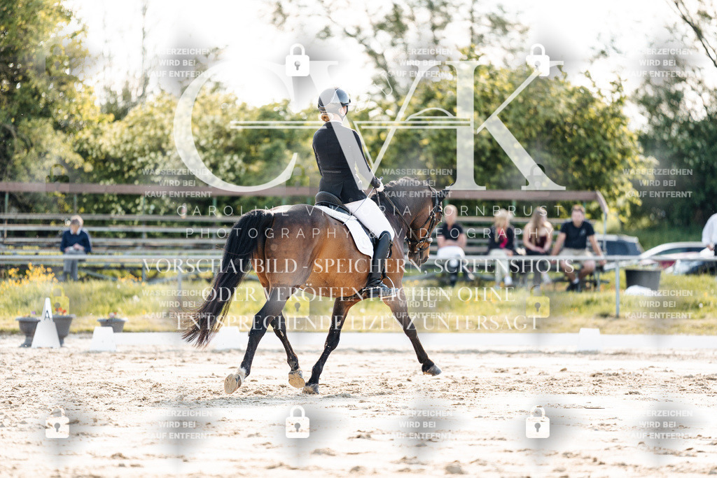 CK909525 | Turnierfotografie Pferdefotografie Trier Rheinland-Pfalz Pferdesport Reitsport Tierfotografie Sportfotografie Pferdevideo Pferdevideografie Equestrianvideography equestrianphotography  - Realisiert mit Pictrs.com