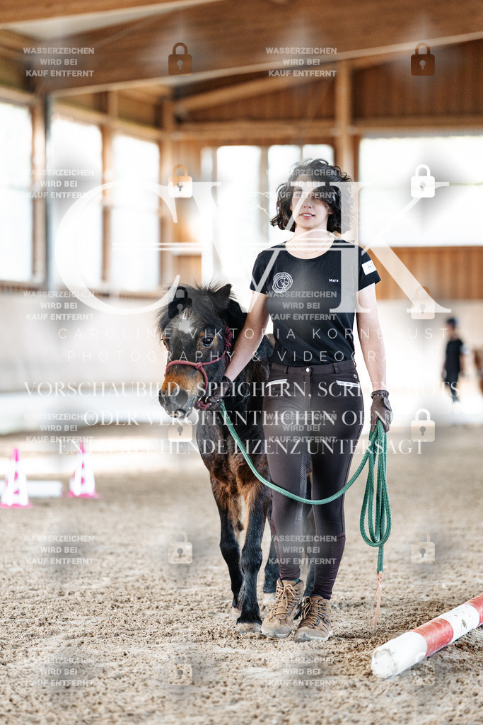 CK905207 | Turnierfotografie Pferdefotografie Trier Rheinland-Pfalz Pferdesport Reitsport Tierfotografie Sportfotografie Pferdevideo Pferdevideografie Equestrianvideography equestrianphotography  - Realisiert mit Pictrs.com