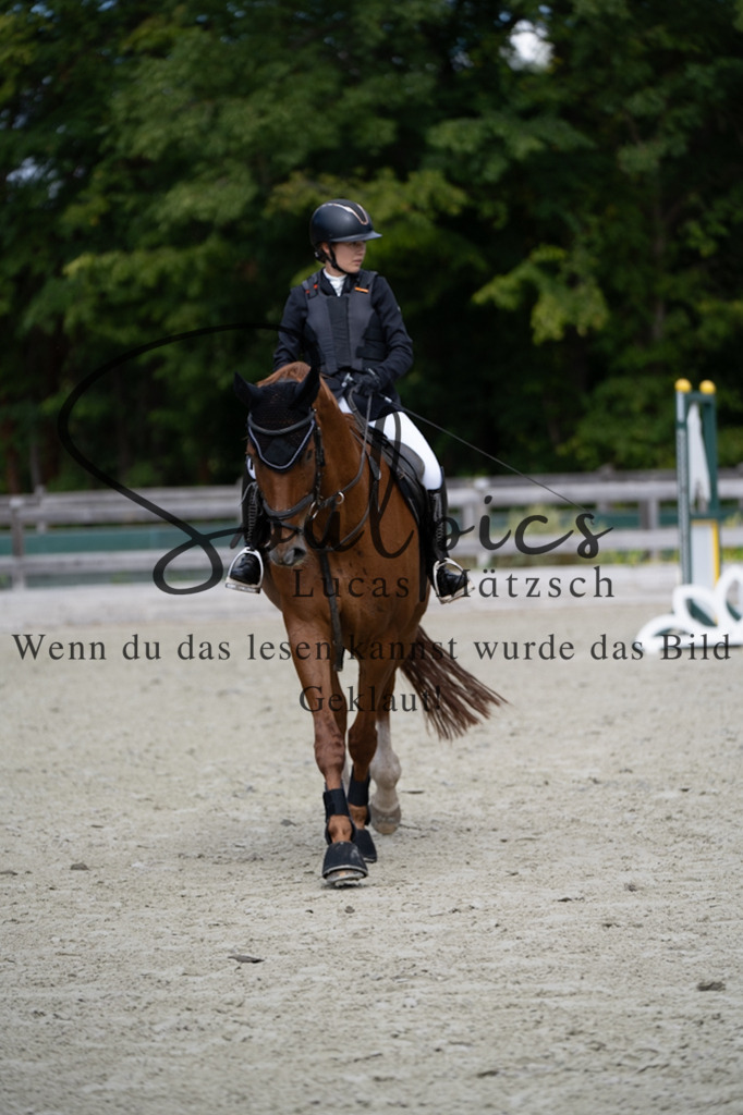 A7V07100 | Pferdefotograf