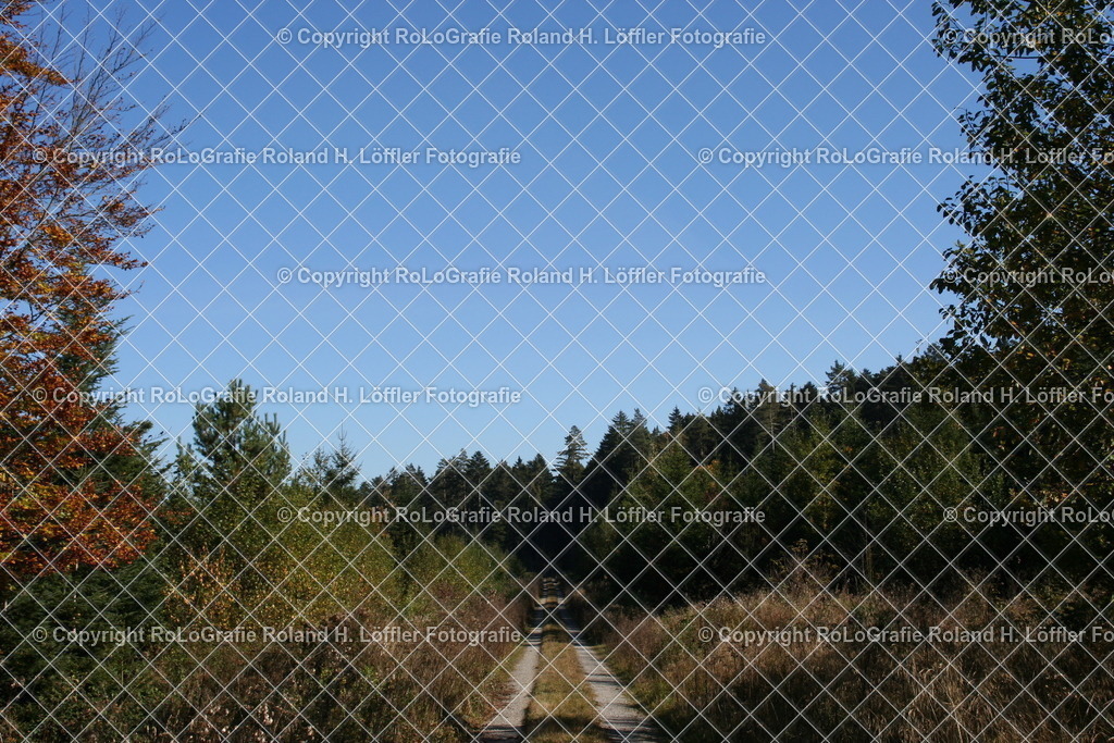 Weg | Der lange Weg durch den Wald - Realisiert mit Pictrs.com