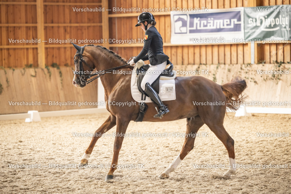 _D5A9480 | Emotionale Pferde- & People-Fotografie rund um Heidelberg, Leimen & Umgebung. Natürliche Fotos von Pferd, Mensch & Familie. Jetzt Termin sichern!