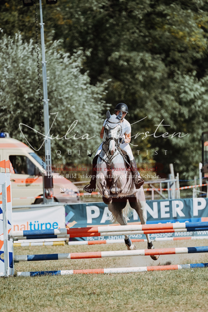 DSC_9574 | Pferde- und Turnierfotografie in Westsachsen. Pferdeportraits, Auftragszeichnungen und intuitive Kunst.