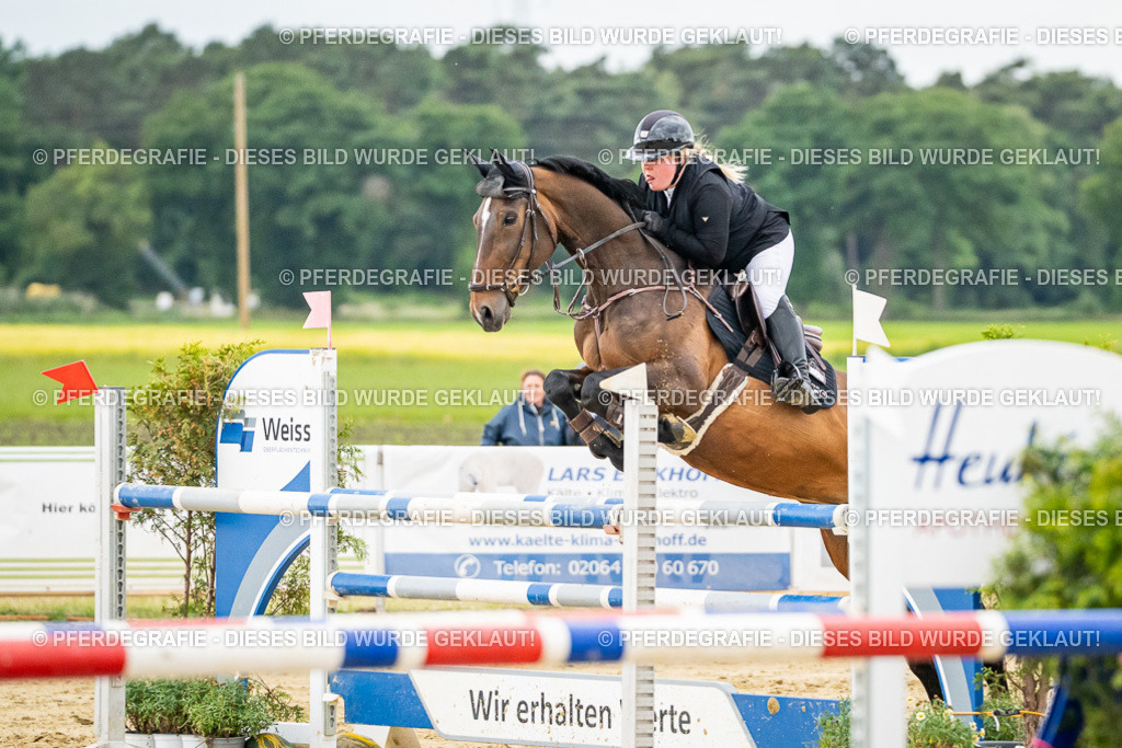 DSC06997 | Pferdegrafie