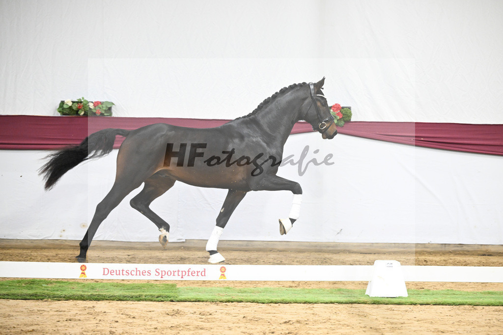 Kat-Nr. 66 Feliciano x Fidertanz_Franz Winklmaier_47252506 | hf-fotografie - Realisiert mit Pictrs.com