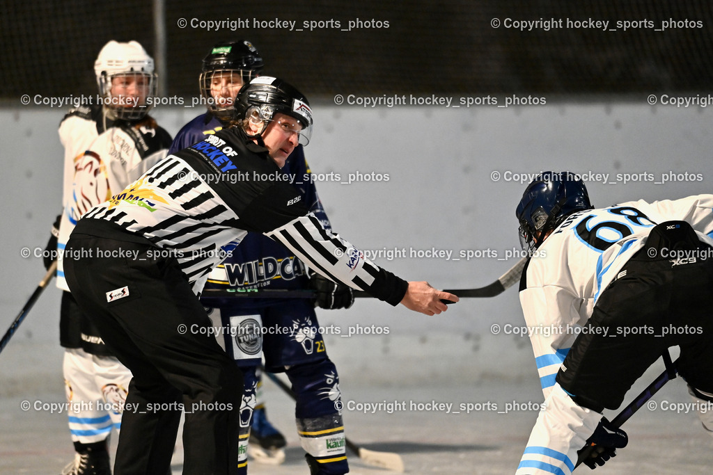 Wildcats Paternion vs. Unicorns Steindorf | Sintschnig Christian Referee, #68 Forster Magdalena UNICORNS STEINDORF, Wildcats Paternion vs. Unicorns Steindorf, Wildcats Paternion vs. Unicorns Steindorf am 02.01.2026 in Paternion (Eislaufplatz Paternion), Austria, (Photo by Bernd Stefan)