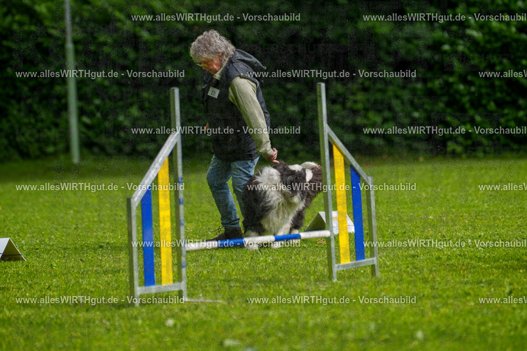 @allesWIRTHgut_Tierfotografie - www.allesWIRTHgut.de - 7R502691 | Professionelle Tierfotografie in Mönchengladbach von Daniel Wirth (allesWIRTHgut). Liebevolle & natürliche Bilder von Hunden & Katzen für unvergessliche Erinnerungen.