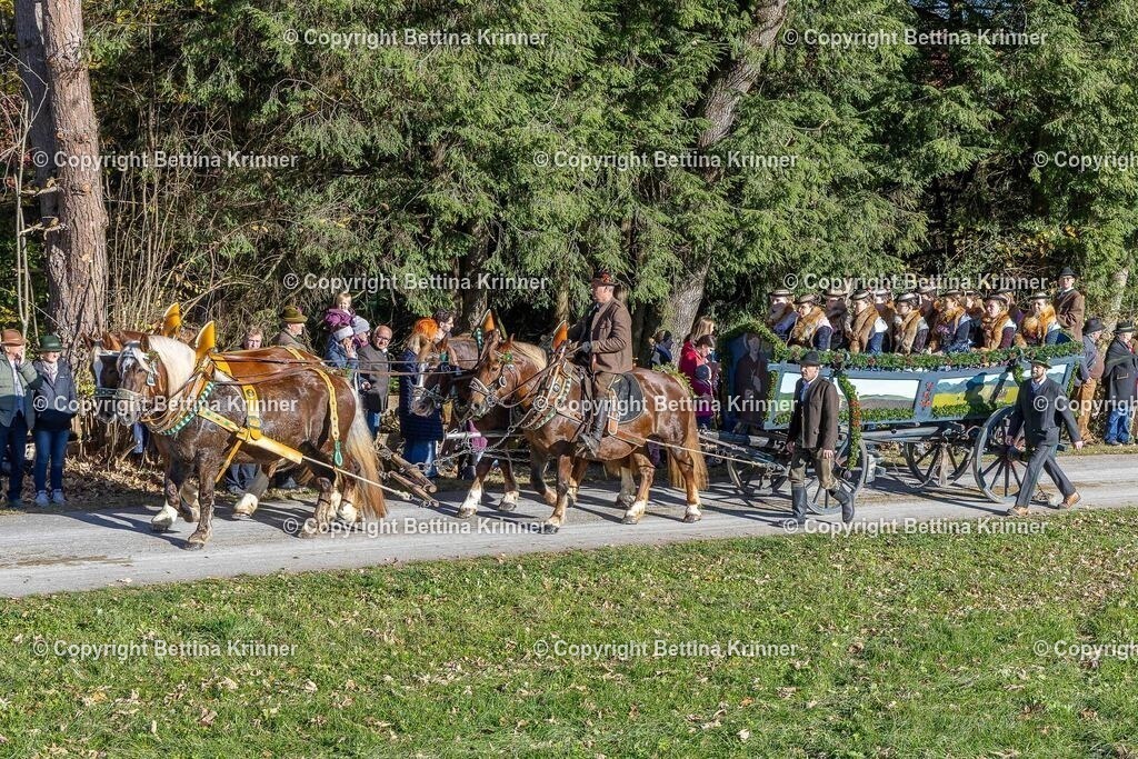 LBT25-705 | foto-bettina-krinner - Realisiert mit Pictrs.com