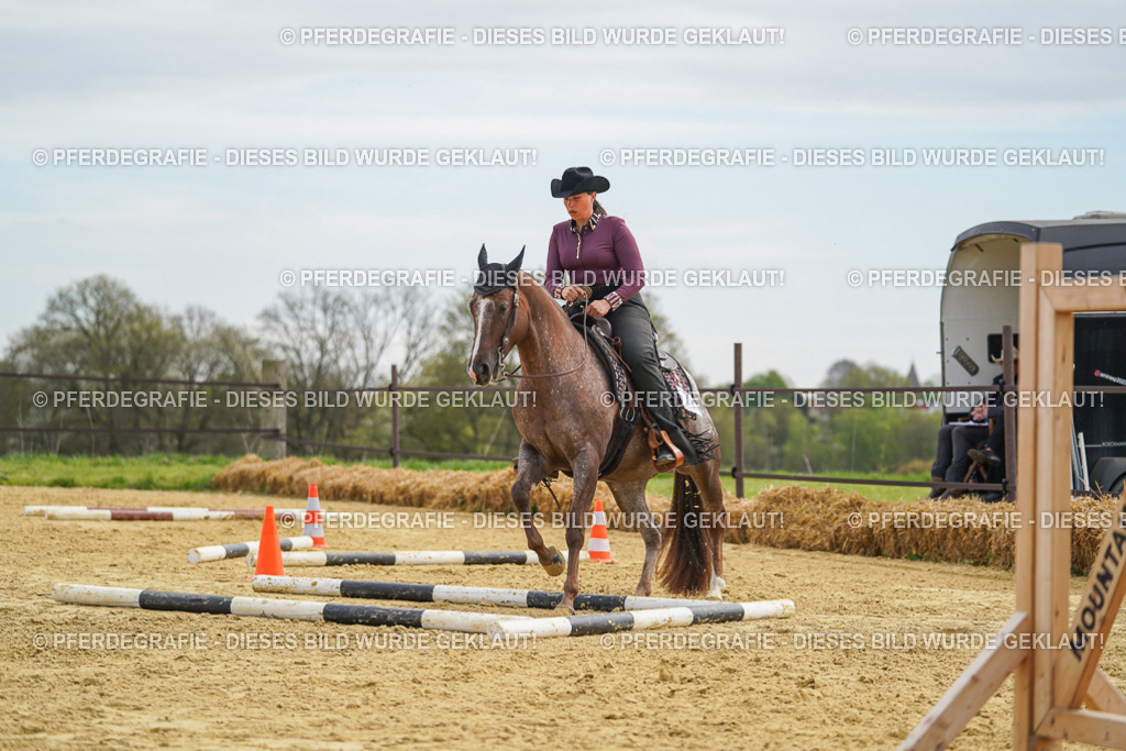 DSC03496 | Pferdegrafie