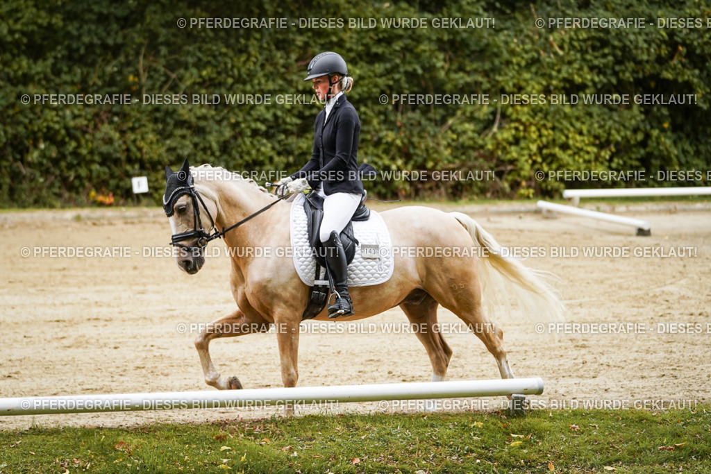 DSC08596 | Pferdegrafie