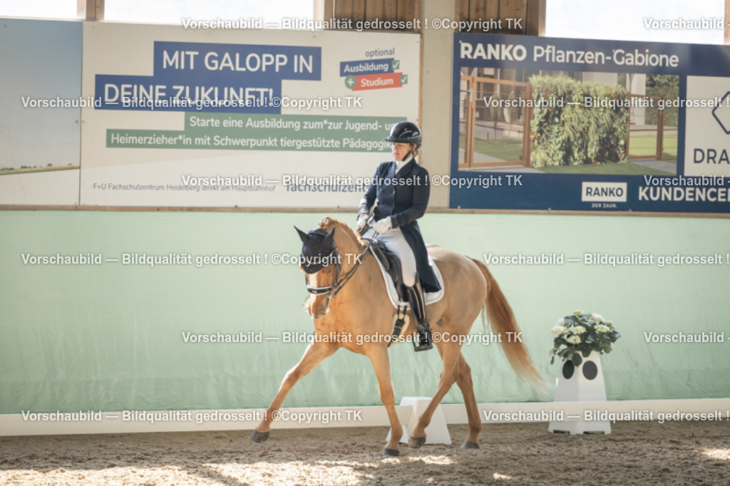 _D5A2364 | Emotionale Pferde- & People-Fotografie rund um Heidelberg, Leimen & Umgebung. Natürliche Fotos von Pferd, Mensch & Familie. Jetzt Termin sichern!