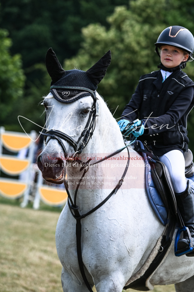 DSC_9807 | Pferde- und Turnierfotografie in Westsachsen. Pferdeportraits, Auftragszeichnungen und intuitive Kunst.