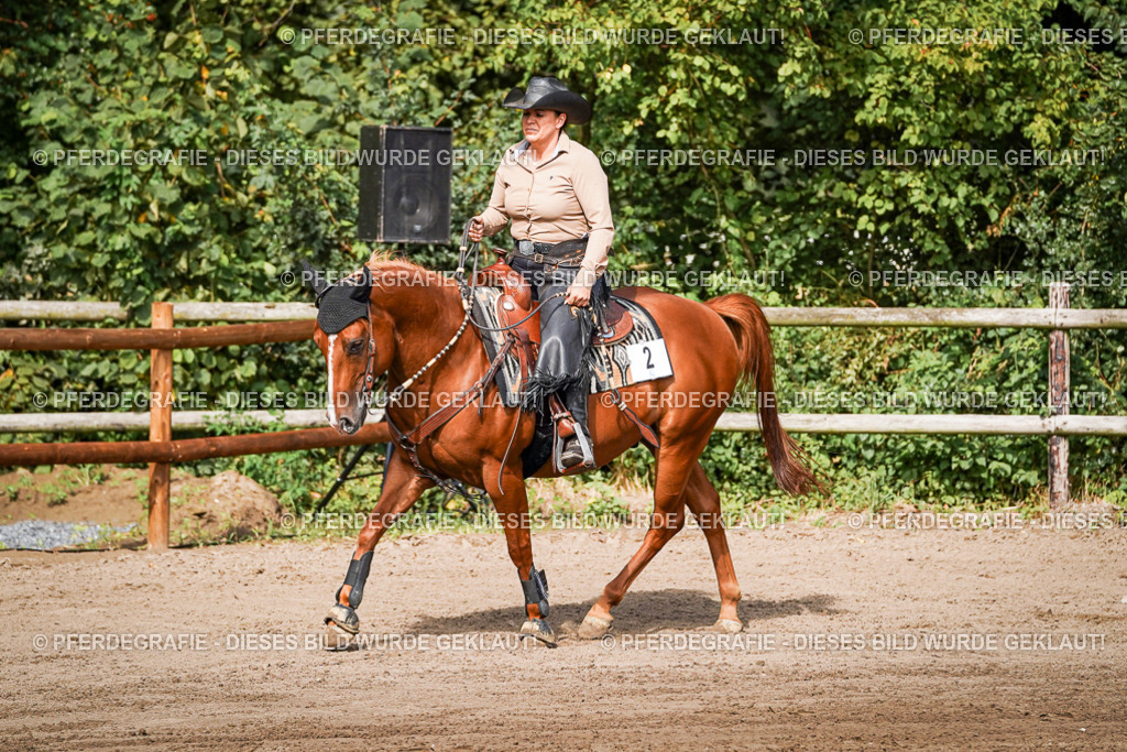 DSC09598 | Pferdegrafie