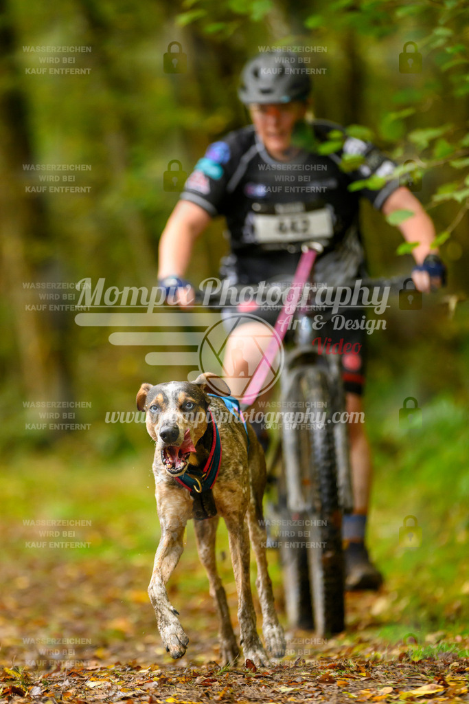 MompixPhotography_20TSB_E1_Doppel-27 | PayLife