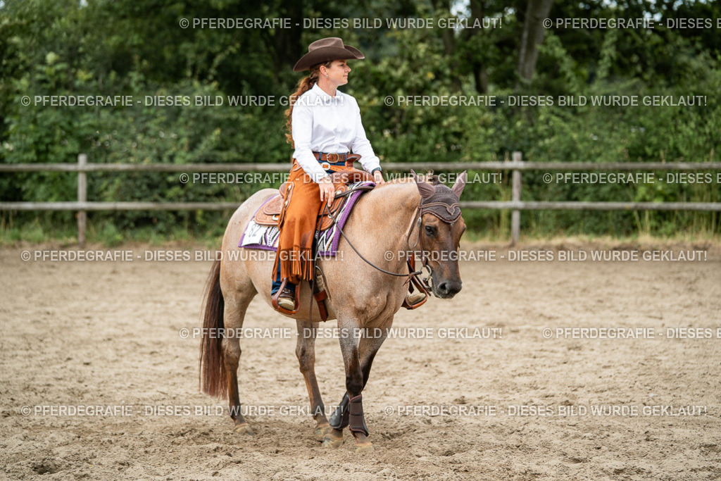 DSC02523 | Pferdegrafie