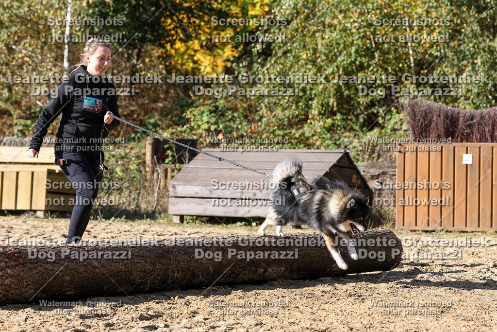 Dog Paparazzi - Strongdog 10-25-4812 | Dog Paparazzi Jeanette Grottendiek Fotografie & Videografie - Realisiert mit Pictrs.com