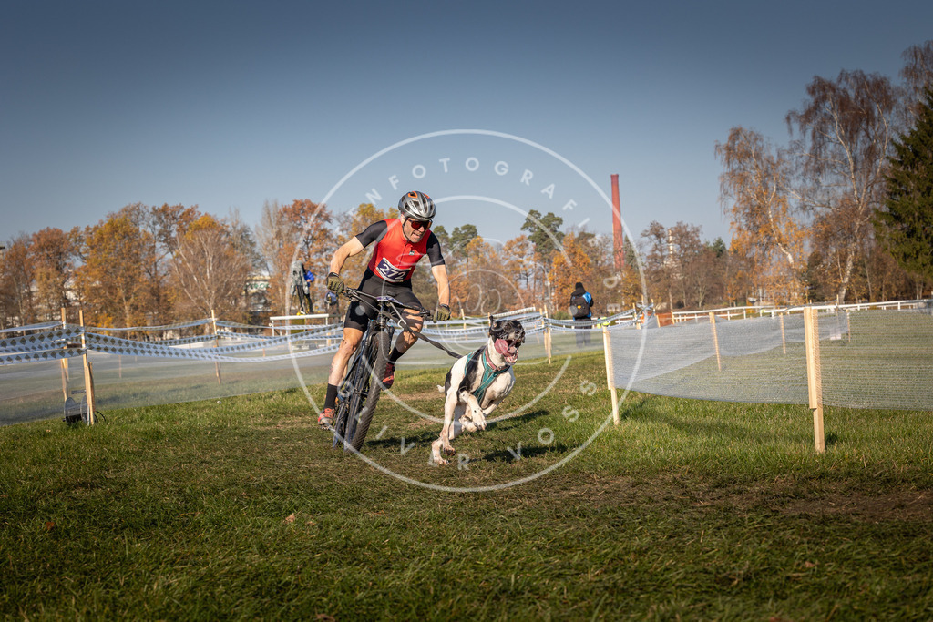 CaniXpix_0L8A6003 | Hundefotografie, Tierfotograf, Pfotenfotografie, Fotoshooting Hund, Hunde Portrait, Hundesport, Hundeportraits, Heideshooting, Hunde, Sportfotograf, Hundefotograf, Turnierhundsport, THS,  - Realisiert mit Pictrs.com
