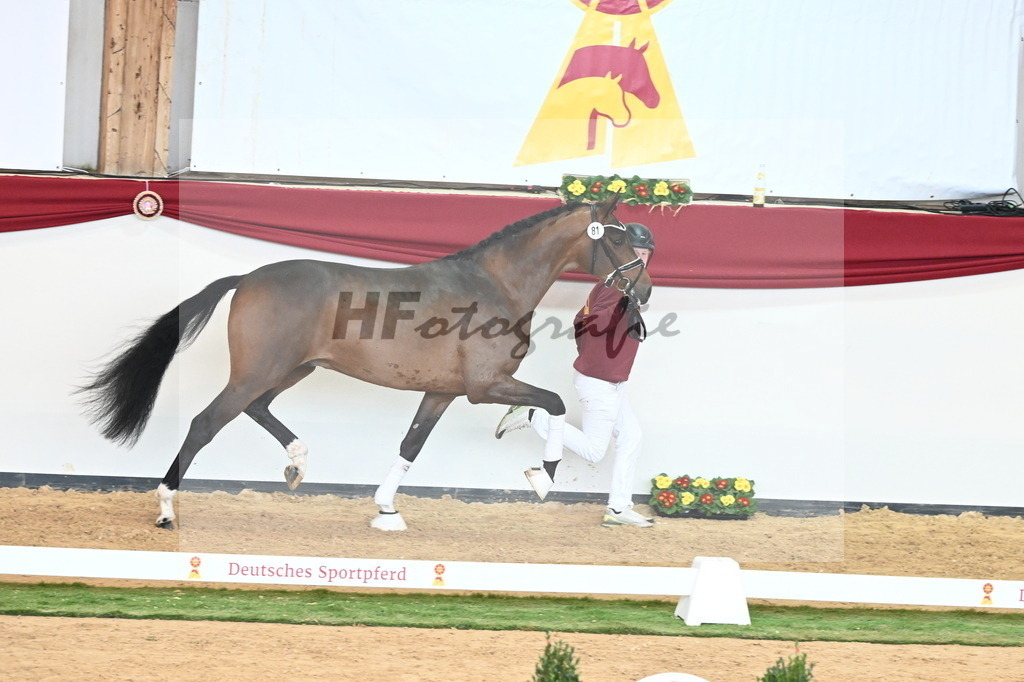 Kat.-Nr. 81 v. Vivino_Freisel_2241059 | hf-fotografie - Realisiert mit Pictrs.com
