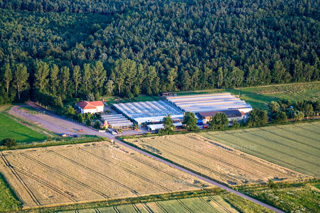 Luftbild: Kakteenland in Steinfeld im Bundesland Rheinland-Pfalz in Deutschland. Foto: IMG_3149.jpg vom 30.06.2006 durch Werner Riehm/FLY-FOTO.de