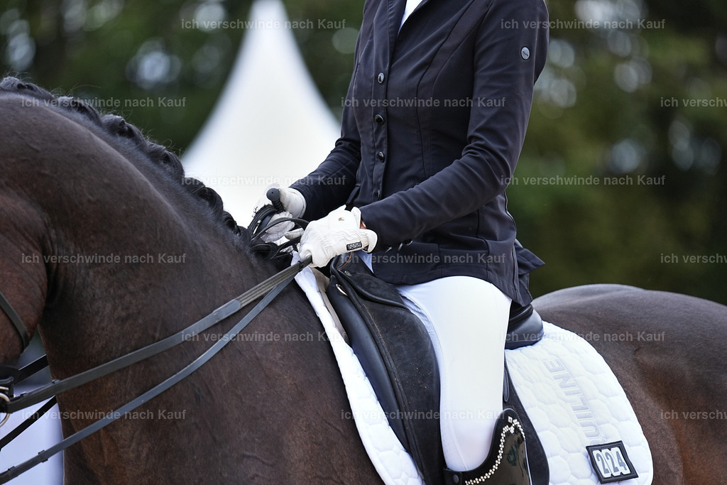 3-224-Dressur M_-Marixx-2014 | working equitationturnier fotograf videograf stoibphotography marixx film working equitation deutschland reitsport turnierfotografie eventfotografie equestrian events