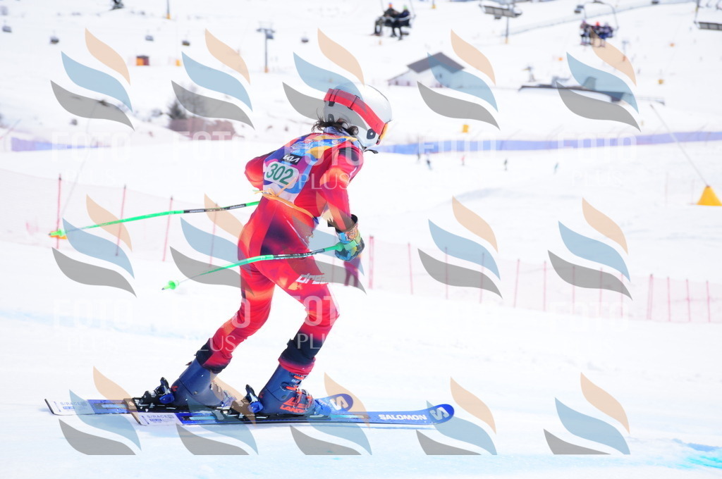 DSC_2923 | holidayphoto