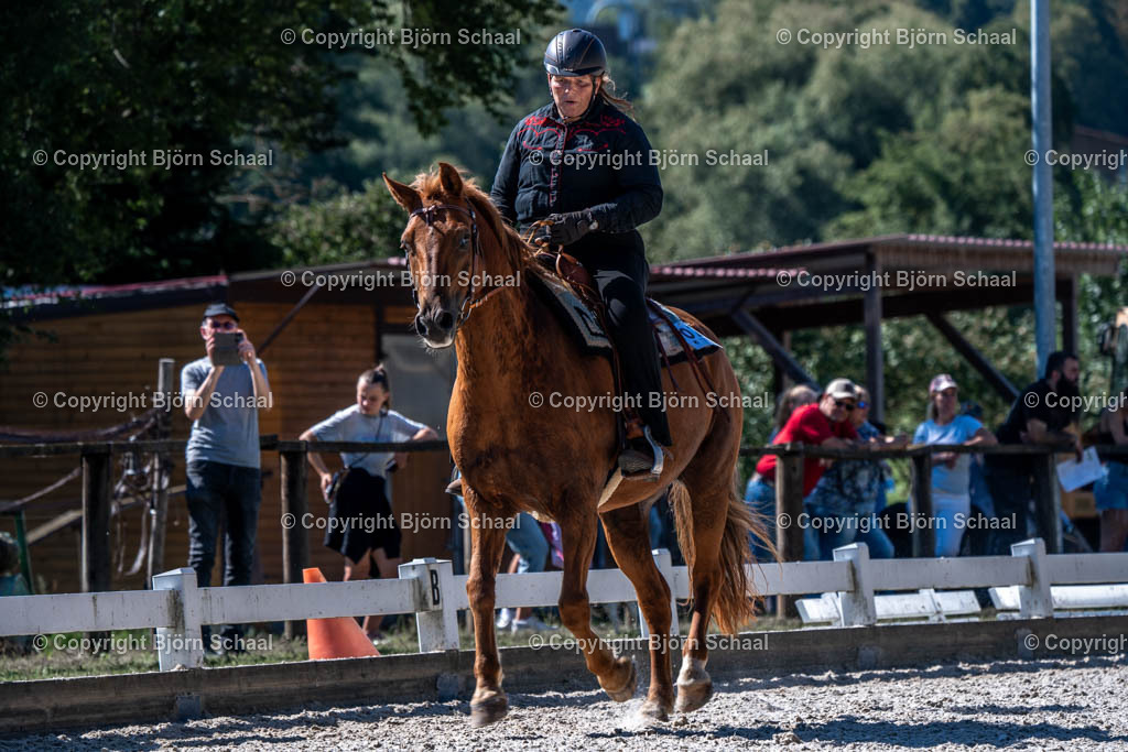 HOB08733 | BS-foto